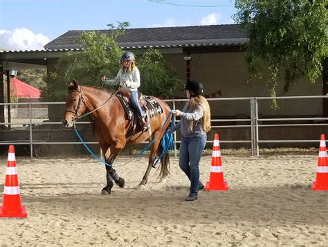 asstr horse|Riding Lesson Ch. 01 .